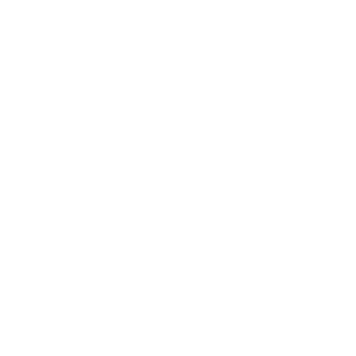 Bully Built Clothing logo
