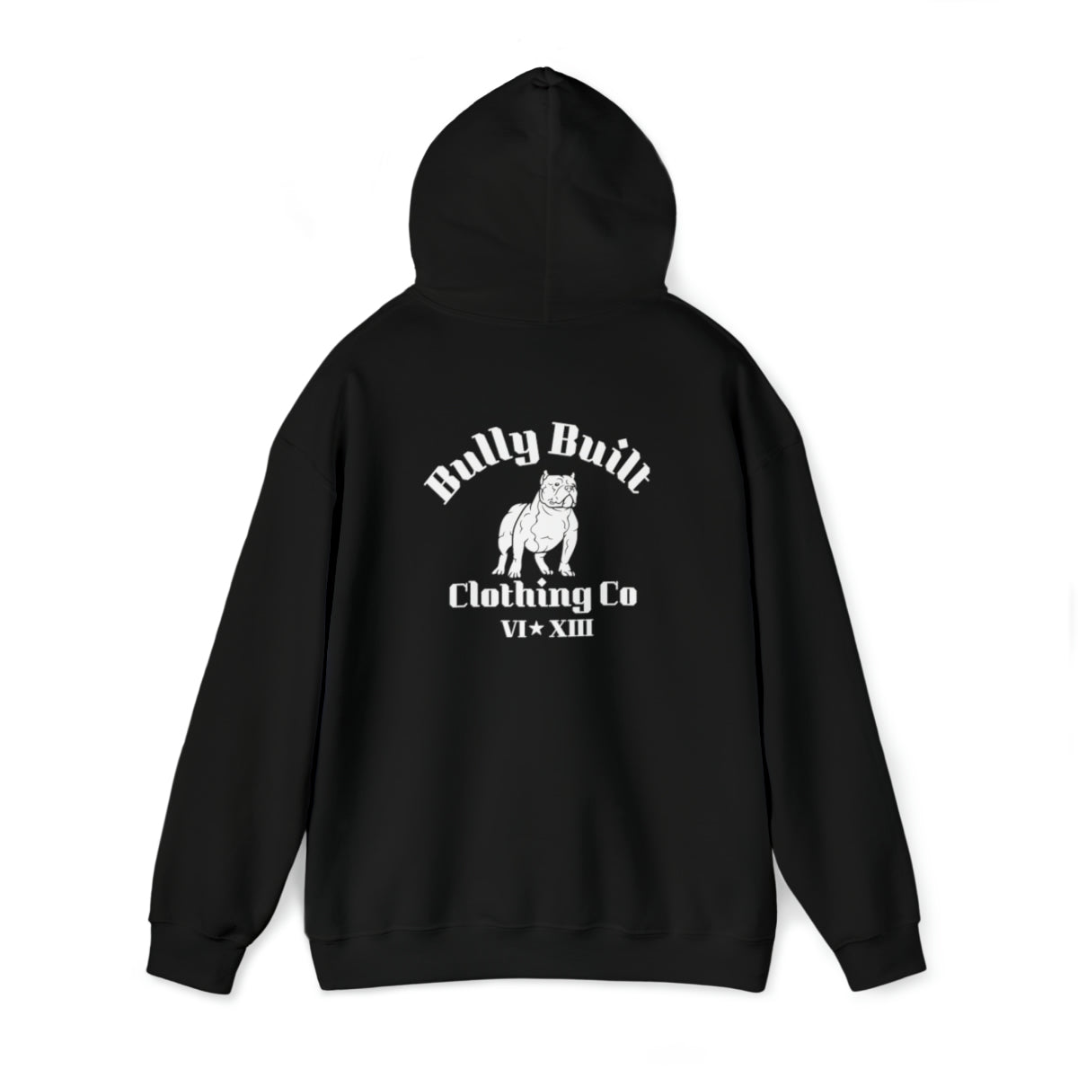 BULLY BUILT LEVEL UP MEN'S/UNISEX HOODIE