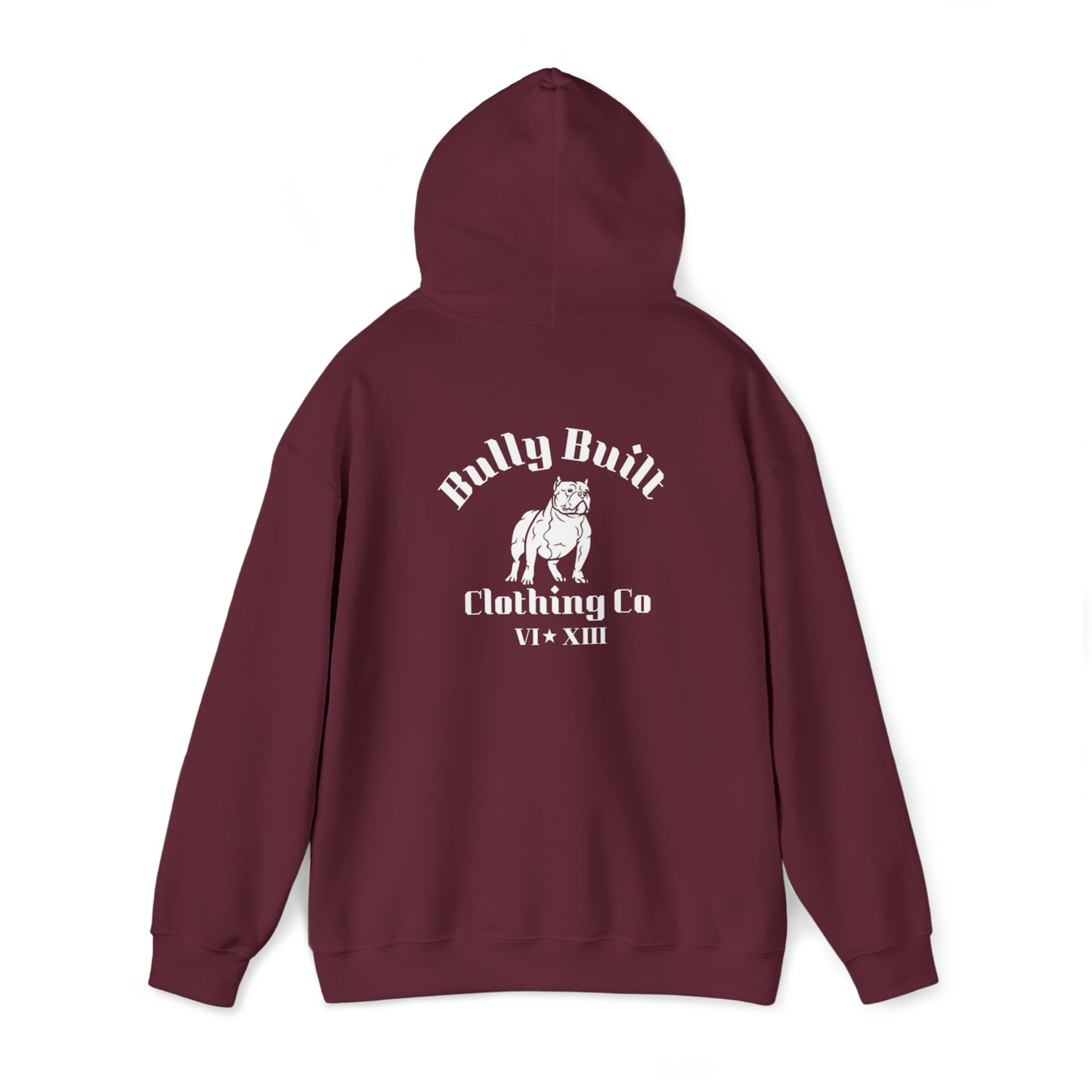 BULLY BUILT LEVEL UP MEN'S/UNISEX HOODIE